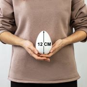 Пенопластовые заготовки для творчества «Эллипсы», 1 шт., 120 мм, ОСТРОВ СОКРОВИЩ, 661357