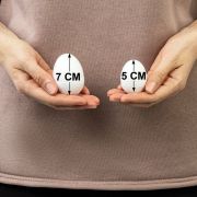 Пенопластовые заготовки для творчества «Эллипсы», 3 шт., ассорти, ОСТРОВ СОКРОВИЩ, 661371