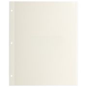 Листы для фотоальбома магнитные 23х28 см, КОМПЛЕКТ 10 шт., BRAUBERG, 391312