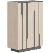 Шкаф LINE СФ-574202, дуб светлый/черный графит, 90х43х130.5 см