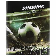 Дневник 1-11 класс 40 л., на скобе, ПИФАГОР, обложка картон, «Футбол», 106817