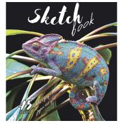 Скетчбук, белая, серая, черная бумага 120 г/м2, 170х195 мм, 45 л., скрепка, фольга, «Хамелеон», 97729