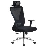 Эргономичное кресло Everprof Joy Сетка Черный