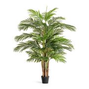 Пальма Арека Катеху де Люкс, высота 190 см