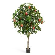 Яблоня с плодами, высота 180 см