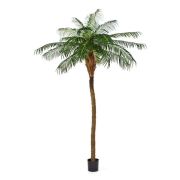 Финиковая пальма де Люкс, высота 260 см