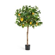 Самшит пирамида уличный, высота 120 см