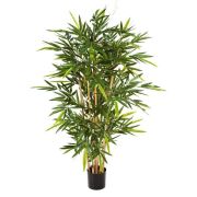 Бамбук, высота 120 см