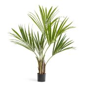 Пальма Кентия (Ховея), высота 120 см