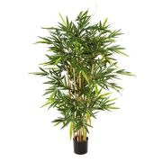 Бамбук Новый, высота 210 см