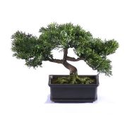 Бонсай Сосна-мини в кашпо, высота 22 см