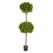 Самшит шар двойной уличный, высота 160 см