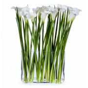 Каллы белые в прямоугольной вазе