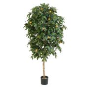 Мандарин Оранж, высота 110 см