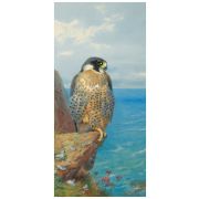 Картина Peregrine, 33х70 см, рама жемчуг с серебром