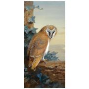 Картина A Barn Owl, 33х70 см, рама жемчуг с серебром