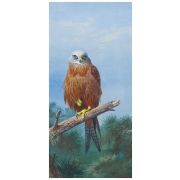 Картина Red Kite, 33х70 см, рама жемчуг с серебром