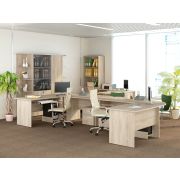 DaVita Набор мебели для офиса Альфа 64 201