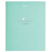 Дневник 5-11 класс 48 л., твердый, BRAUBERG, фольга, с подсказом, «Aspiration», 107199