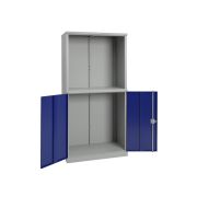 Шкаф инструментальный TC-1995/2