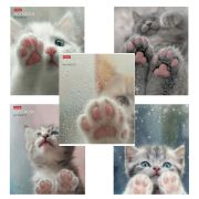 Тетрадь А5 48 л., HATBER скоба, клетка, обложка картон, «Розовые лапки» (микс в спайке), 090370, 48Т5В1