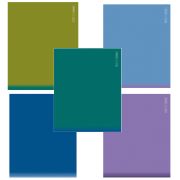 Тетрадь обложка пластик, А5, 96 л., скоба, клетка, HATBER, «PROстиль» (микс в спайке), 090232, 96Т5В1пл