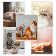 Тетрадь А5, 48 л., BRAUBERG, скоба, клетка, матовая ламинация, «Cats», (микс в спайке), 405334