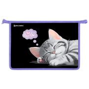 Папка для труда на молнии BRAUBERG А4, 2 отделения, органайзер, «Sleeping kitten», 273401