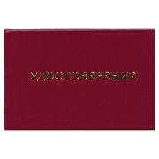 Удостоверение для проверки правил работы в электроустановках, КОМПЛЕКТ 5 шт., 66х100 мм, STAFF, 117574