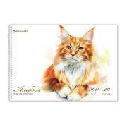 Альбом для акварели А4 40 л., бумага 200 г/м2, гребень, твердая подложка, BRAUBERG, «Мейн-кун», 116884