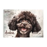 Альбом для акварели А4 40 л., бумага 200 г/м2, гребень, твердая подложка, BRAUBERG, «Пудель», 116885