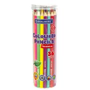 Карандаши цветные BRAUBERG PREMIUM 36 цветов в тубе, трехгранные, грифель 3,3 мм, натуральное дерево, 181934