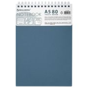 Блокнот А5, 80 л., силиконовый гребень, обложка пластик, клетка, BRAUBERG, синий, 117561