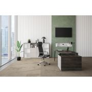 Кабинет руководителя ATLAS 1