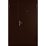 Металлическая дверь ПРОФИ DL (металл/металл)