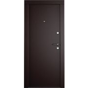 Металлическая дверь ФЕНИКС IS