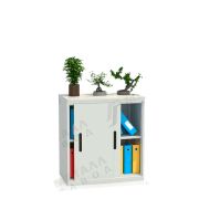 Шкаф-купе архивный ALS-8896