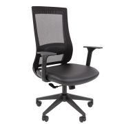 CHAIRMAN 500LT ЭКО БП