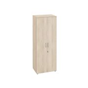 Шкаф для одежды со штангой Альфа 64.42