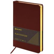 Ежедневник недатированный А5 138х213 мм BRAUBERG «Iguana» под кожу, 160 л., темно-коричневый, 125090