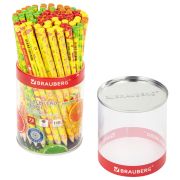 Карандаш чернографитный BRAUBERG «FRESH ZONE», 1 шт., HB, корпус ассорти, 181759