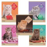 Тетрадь А5, 48 л., HATBER, скоба, линия, обложка картон, «КОТЯТА» (микс в спайке), 047012, 48Т5В2