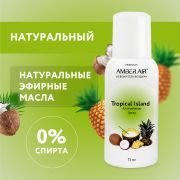 Сменный баллон аэрозольный 75 мл (аналог TORK, Система А1) AMBER AIR «Тропический остров», 2255